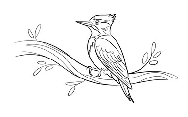 Woodpecker Illustration on a Branch mdlfd50gqiitfzb