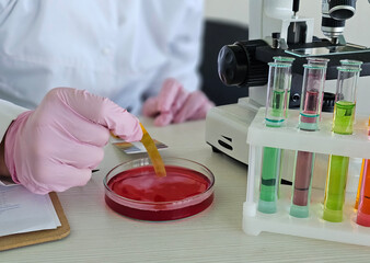 Scientist in lab conducting experiments with petri dish and test tubes filled with colorful liquids...