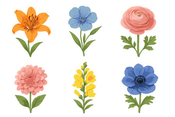 Collection of six colorful blooming garden flowers isolated on white background