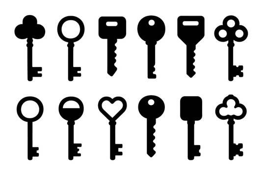 Collection of twelve different black silhouette keys representing various types for security and access