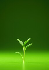 A vibrant, verdant green backdrop evokes a calm and refreshing atmosphere, perfect for themes of nature, growth, and environmental well-being ,eco ,calm ,empty