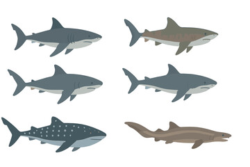 Diverse collection of marine predators and various shark species isolated on white