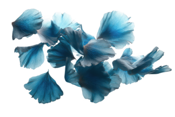 Beautiful blue iris flower isolated on white, a macro close-up of a spring garden blossom with purple and violet petals