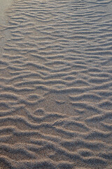 Wavy beach sand wind ripple pattern texture background