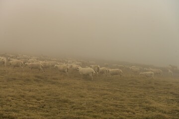 Obraz premium Ordesa and Monte Perdido National Park - Spain