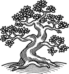 Fototapeta premium Bonsai tree illustration, hand drawn black and white sketch, decorative twisted trunk, detailed foliage art
