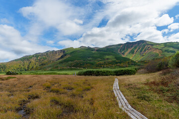 北海道・大雪山「沼の平」に広がる草紅葉と池塘群の秋の湿原風景（資料・教育用途）