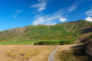 Naklejka premium Autumn Marsh and Ponds at Numanotaira, Daisetsuzan Mountains, Hokkaido