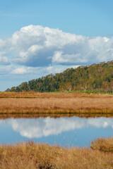 北海道・大雪山「沼の平」に広がる草紅葉と池塘群の秋の湿原風景（資料・教育用途）
