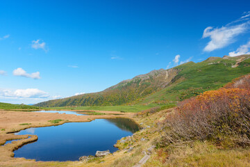 Autumn Marsh and Ponds at Numanotaira, Daisetsuzan Mountains, Hokkaido