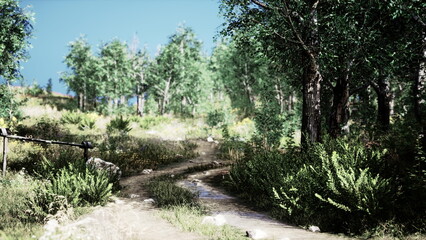 A peaceful pathway winds through a lush green forest, framed by tall trees and vibrant foliage. A gentle stream flows nearby, creating a calming atmosphere in nature.