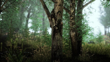 In a serene forest, tall, textured trees rise above the ground, surrounded by vibrant green foliage. The mist adds a magical touch to this tranquil setting, inviting exploration and wonder.