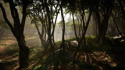 Naklejka premium Morning light dances on leaves as trees stand tall in a peaceful forest. A gentle stream flows nearby, surrounded by soft grass and rocks, creating a serene nature scene.
