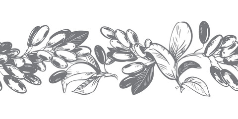 Linear sketch of barberry. Seamless horizontal pattern. Vector illustration of this sour berry. Imitation of an old engraving. Barberry branches lie on a table. Ink drawing.