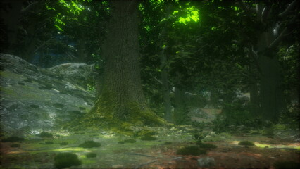 A serene forest showcases tall trees with lush leaves and rocky terrain. Soft light filters through the branches, creating a magical ambiance perfect for exploration and adventure.
