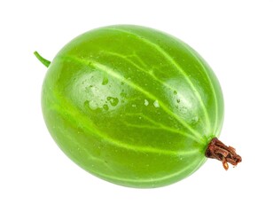 Fresh gooseberry close up showing its translucent skin and veins on white surface