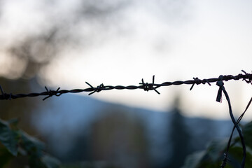 Close-Up of Rusty Barbed Wire

