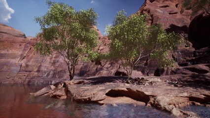 Two lush green trees stand gracefully near calm waters in a stunning canyon. The warm sunlight casts shadows on the colorful rock formations, creating a peaceful atmosphere.