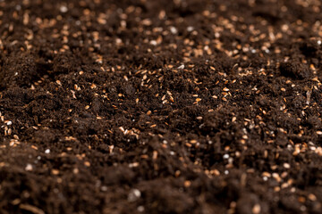 brown fertile soil with the addition of ripe flax seeds to obtain a new crop, a large number of small brown flax seeds scattered on brown soil in the field to harvest flax for industrial use