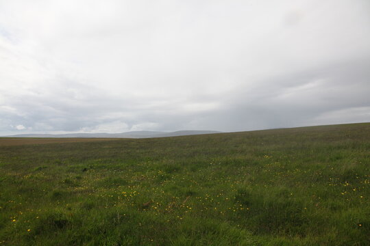 Grassy fields of Scotland with rolling green hills, open meadows, and gentle highland contours creating a peaceful and expansive rural landscape