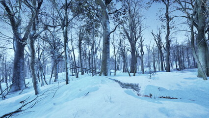 Snow blankets the ground in a tranquil forest, with tall trees standing bare against a pastel sky. The chilly air adds a crisp feel to this peaceful winter scene.