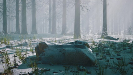 A serene winter forest features tall trees shrouded in mist. A large rock lies on the snow covered ground, surrounded by delicate green sprouts, capturing a peaceful, natural beauty.