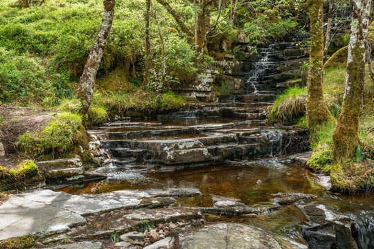 Water cascading over flat rocks in forest