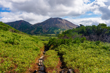 Asahidake Viewed from the Numanotaira Hiking Trail, Daisetsuzan Mountains, Hokkaido