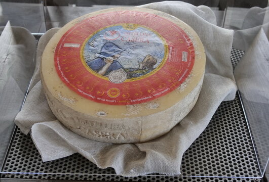 Bitto historic local Bergamasco product on display at the cheese fair in Bergamo, Lombardy, Italy