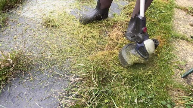 Man using string trimmer to cut overgrown grass in backyard.
