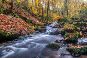 Autumn stream in the Karlstal Gorge near Kaiserslautern, Germany