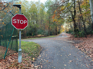 Red stop sign beside a tarmac road curving into the distance, set against an autumn woodland with warm seasonal tones.