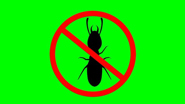 Danger termite cartoon animation with a red prohibition sign on a green screen background. Do not touch, danger, no,