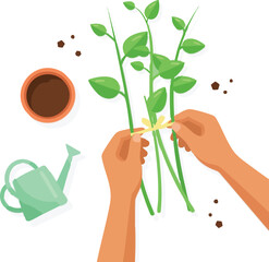 Hands tying garden plant stems together for support, surrounded by soil, pot, and watering can