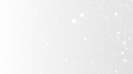 PNG Snowfall Overlay with White Snowflakes on transparent background