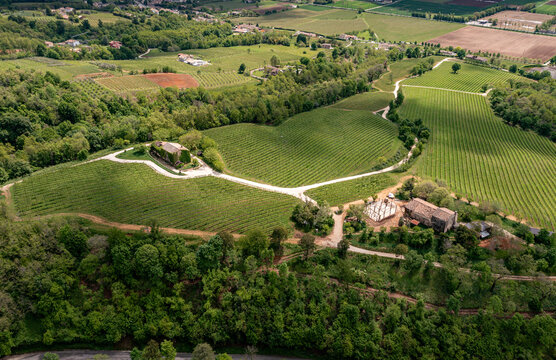 Aerial view of sun-drenched vineyards and rustic buildings nestled among verdant hills, creating a tapestry of rural charm., Asolo, Veneto, Italy.