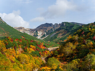 北海道・上富良野の十勝岳温泉「凌雲閣」から望む十勝岳の紅葉風景（資料・教育用途）