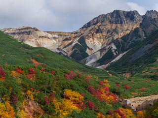 北海道・上富良野の十勝岳温泉「凌雲閣」から望む十勝岳の紅葉風景（資料・教育用途）