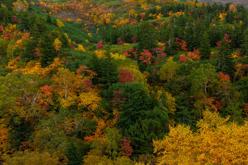 Autumn Colors on Tokachidake Volcano Seen from Ryounkaku Hot Spring, Kamifurano, Hokkaido