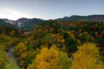 北海道・上富良野の十勝岳温泉「凌雲閣」から望む十勝岳の紅葉風景（資料・教育用途）