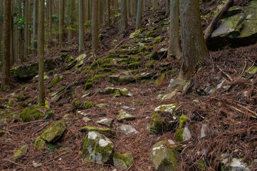 求菩提山の登山道