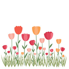 A vibrant field of tulips in various colors blooming joyfully in the spring.