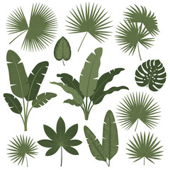 A collection of assorted tropical green palm leaves and foliage in a flat illustration style.