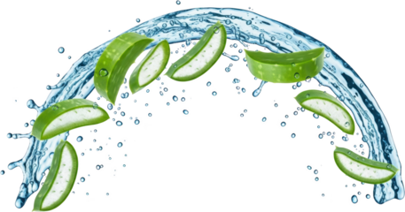 Fresh aloe vera slices and water splash representing health and natural refreshment isolate green wellness skincare hydration liquid droplets organic plant