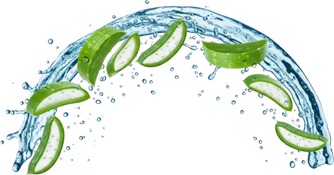 Fresh aloe vera slices and water splash representing health and natural refreshment isolate green wellness skincare hydration liquid droplets organic plant