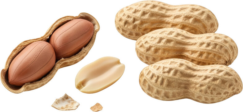 Three whole unshelled peanuts stacked one open peanut with two kernels inside and a single shelled peanut kernel isolate food snack legume ingredient transparent background