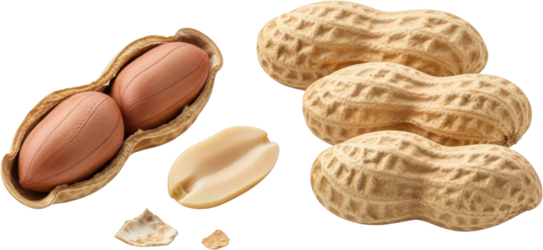 Three whole unshelled peanuts stacked one open peanut with two kernels inside and a single shelled peanut kernel isolate food snack legume ingredient transparent background