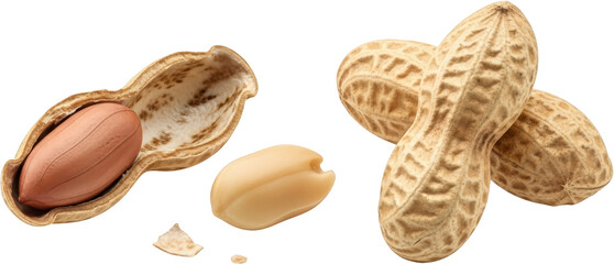 A cracked open peanut shell reveals a single brown peanut with a shelled peanut nearby and two whole peanuts in their shells together isolate food snack