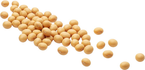 A Pile Of Dried Soybeans Raw And Light Brown Scattered And Isolated Against A Transparent Background Isolate Legume Food Natural Ingredient Healthy Protein Agriculture