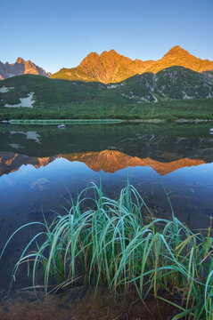 View of majestic mountains ablaze with golden light reflected in the tranquil lake waters framed by verdant grasses, Biele pleso tarn, Vysoke Tatry, Presovsky kraj, Slovakia.